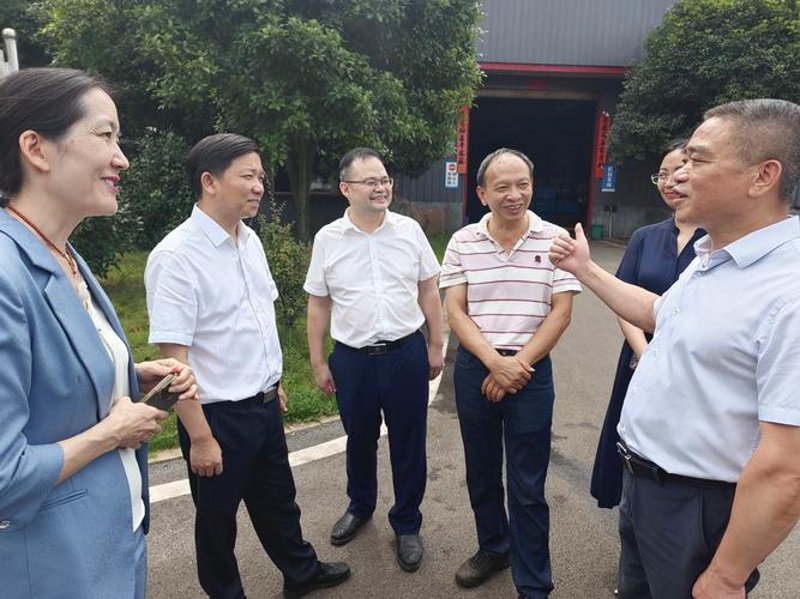揭秘新型材料的未来魅力